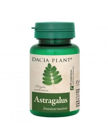 Astragalus, 60 comprimate, Dacia Plant
