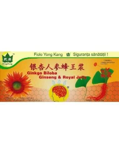 Gingo Biloba & Ginseng & Royal Jelly, Yong Kang