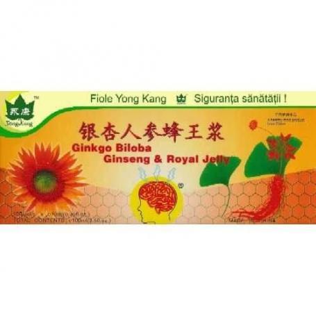 Gingo Biloba & Ginseng & Royal Jelly, Yong Kang