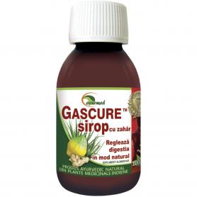 Gascure Sirop, 100 ml, Ayurmed
