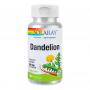 Dandelion (Papadie) 520 mg, 100 capsule, Secom