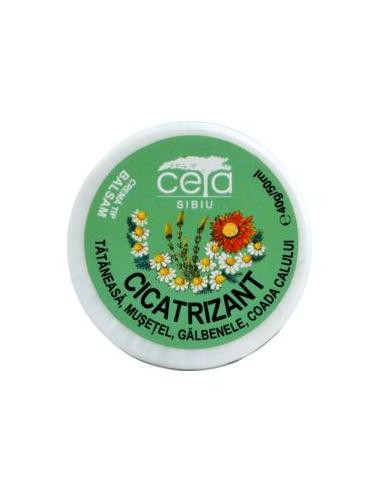 Unguent Cicatrizant, 40gr, Ceta Sibiu