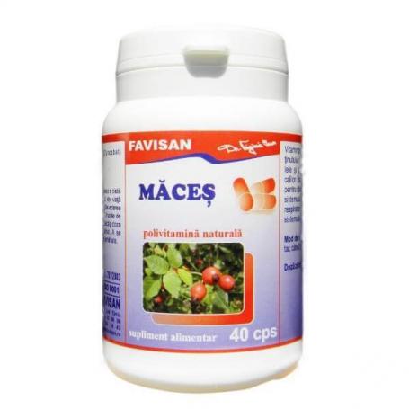 Maces, 40 capsule, Favisan