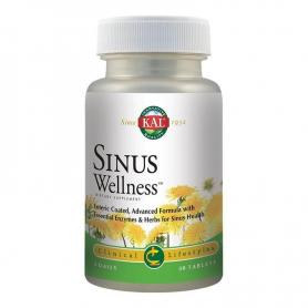 Sinus Wellness Secom