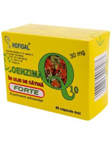Coenzima Q10 in ulei de catina Forte 30 mg, 40 capsule, Hofigal
