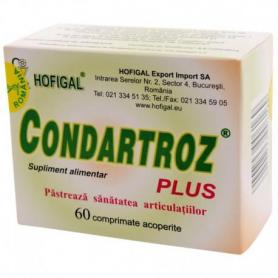 Condartroz Plus, 60 comprimate, Hofigal