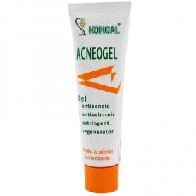 Acneogel - gel Antiacneic, 50ml, Hofigal