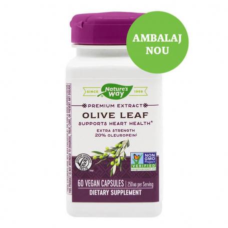 Olive Leaf, 60 capsule, Secom