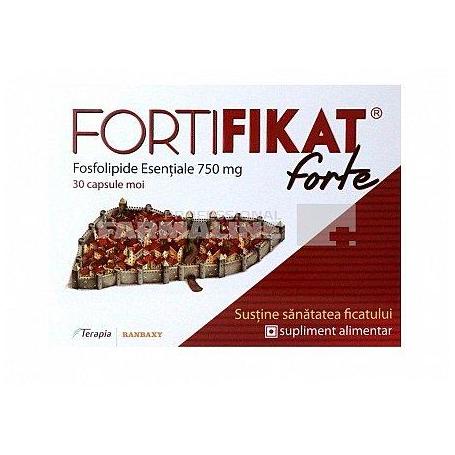Fortifikat Forte