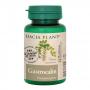 Gastrocalm, 60 comprimate (pansament gastric)