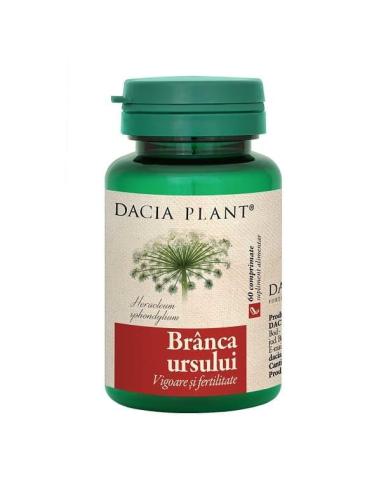 Branca Ursului, 60 comprimate, Dacia Plant - Samdistribution