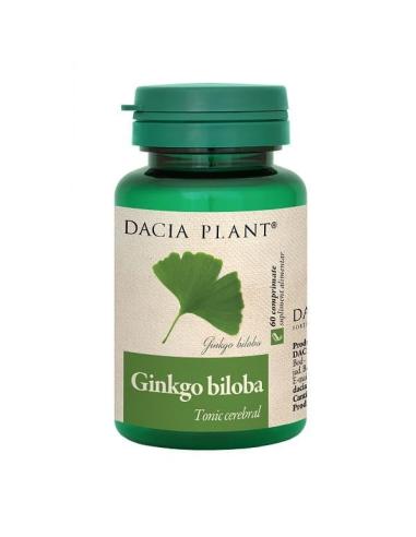 Ginkgo Biloba