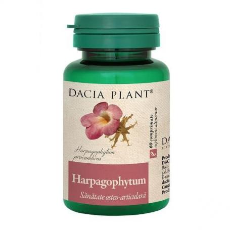 Harpagophytum