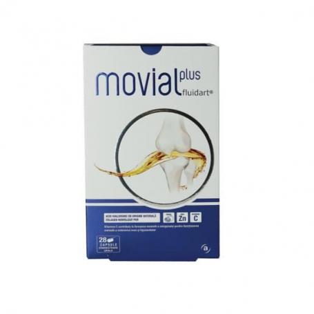Movial Plus Fluidart