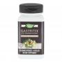 Gastritix, 60 capsule, Secom