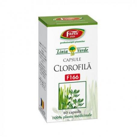 Clorofila 60 cps Fares