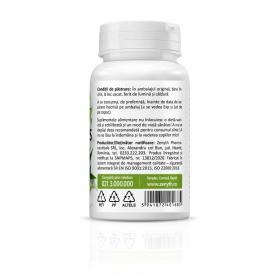 Andrographis (386 mg), 30 capsule - Zenyth 2