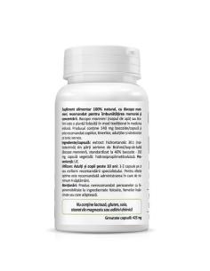 Bacopa monnieri, 30 capsule - Zenyth 2