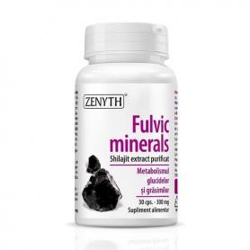 Fulvic minerals (300 mg), 30 capsule, Zenyth