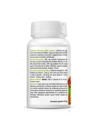 Ganoderma Reishi Bio