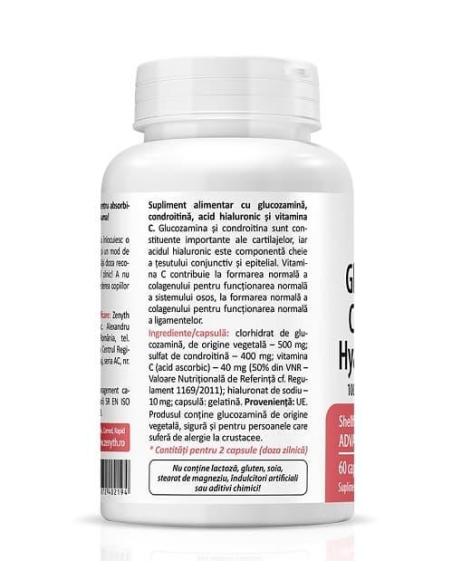 Glucosamine, Chondroitin, Hyaluronic Acid, 60 cps, Zenyth