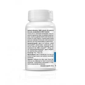 L-Theanine (100 mg), 30 capsule, Zenyth 2