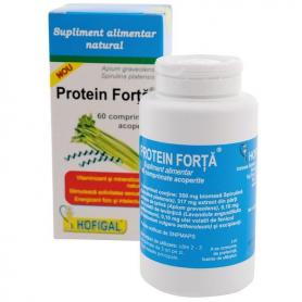 Protein Forta, 60 tablete, Hofigal