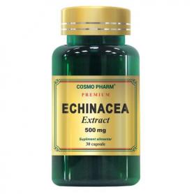 Echinacea Extract (500mg), 60 capsule - Cosmopharm