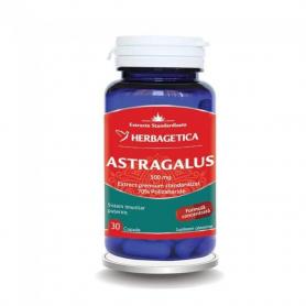 Astragalus 500 mg, 30 capsule, Herbagetica