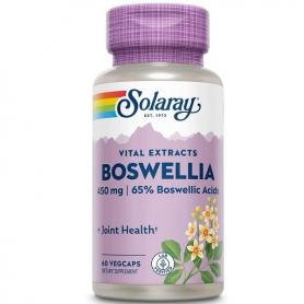 Boswellia 450 mg, 30 capsule, Secom