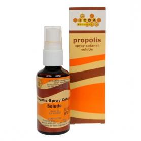 Propolis Spray cutanat, 50 ml, Institutul Apicol