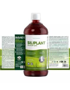 Siliciu G7 Siliplant Siliciu organic 2