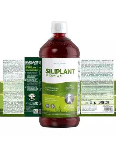 Siliciu G7 Siliplant Siliciu organic extras din planta coada-calului
