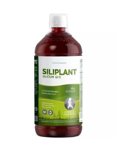 Siliciu G7 Siliplant Siliciu organic