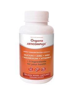 orgono-articomplex 2