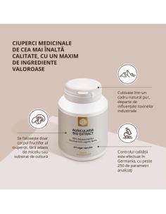 Ciuperca Auricularia Bio Extract 2