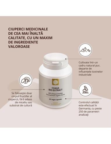 Ciuperca Chaga Bio
