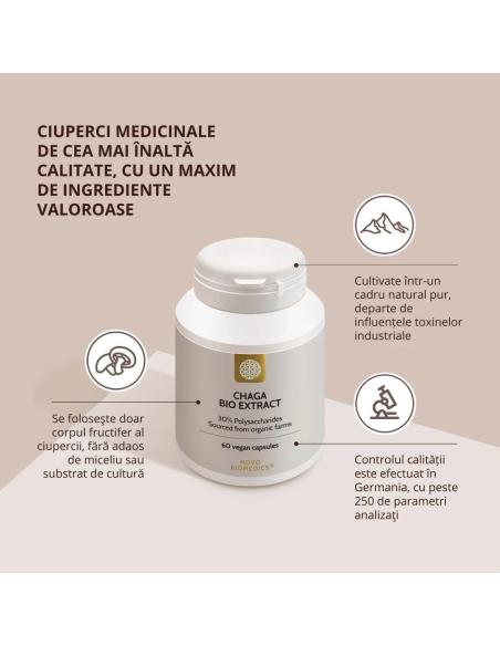 Ciuperca Chaga Bio