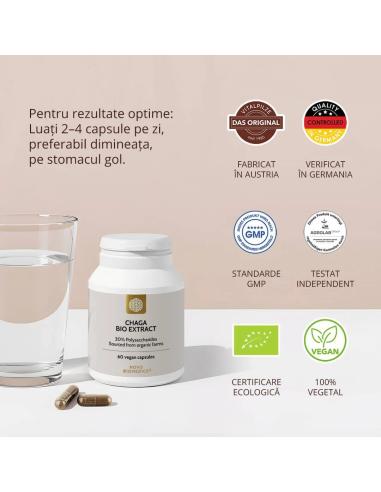 Ciuperca Chaga Bio Extract