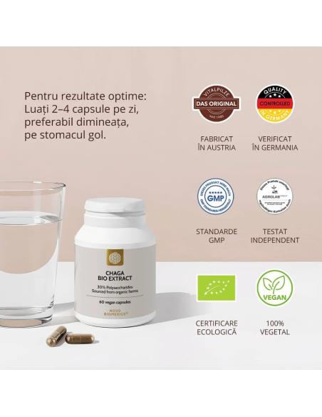 Ciuperca Chaga Bio Extract