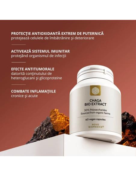 Ciuperca Chaga Bio Extract Novo Biomedics