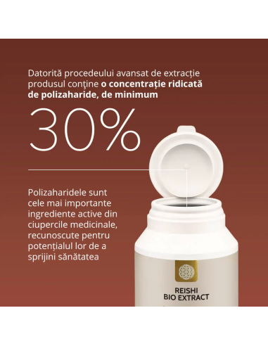 Ciuperca Reishi (Ganoderma lucidum), 60 capsule | Sam