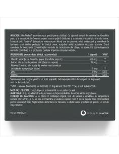 MenFloden Vitaslim 2