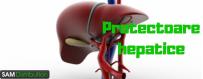 Protectoare hepatice | Medicamente si pastile Ficat | SamDistribution