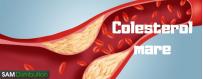 Medicamente pentru scaderea Colesterolului si Trigliceridelor