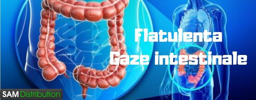 Flatulenta, gaze intestinale,balonare  Produse,tratamente naturiste,produse naturisteFlatulenta,gaze intestinale,balonare