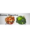 Enzime digestive