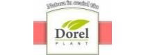 Dorel Plant