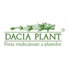  Dacia Plant