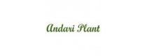 Andari Plant